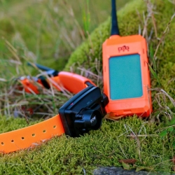 Dog Trace Hondentracker met geluidszoeker DOG GPS X25B Short