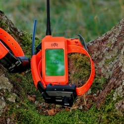 Dog Trace Hondentracker DOG GPS X30TB Short 