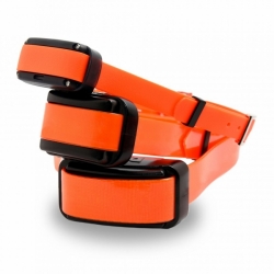 Dog Trace Elektronische trainingshalsband d-control professional 2000 mini -oranje