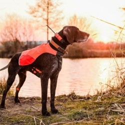 Dog Trace Zoek- en trainingsapparaat voor honden DOG GPS X25